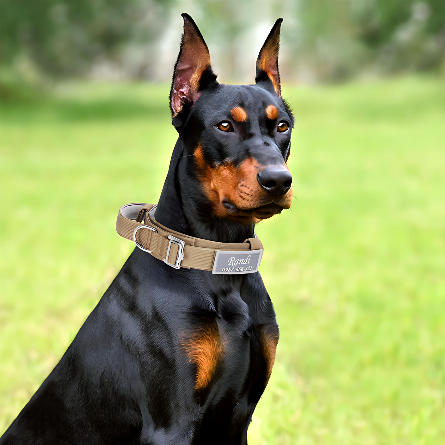 Tactical Custom Dog Collar|for Medium and Large Dogs