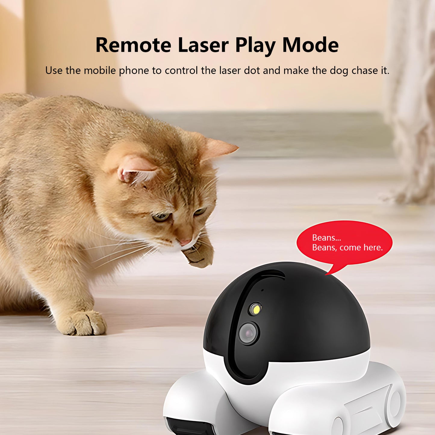 Remote Control Car Design Pet Camera | Movable & 7-Day Battery